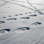 snow-4072526_1280