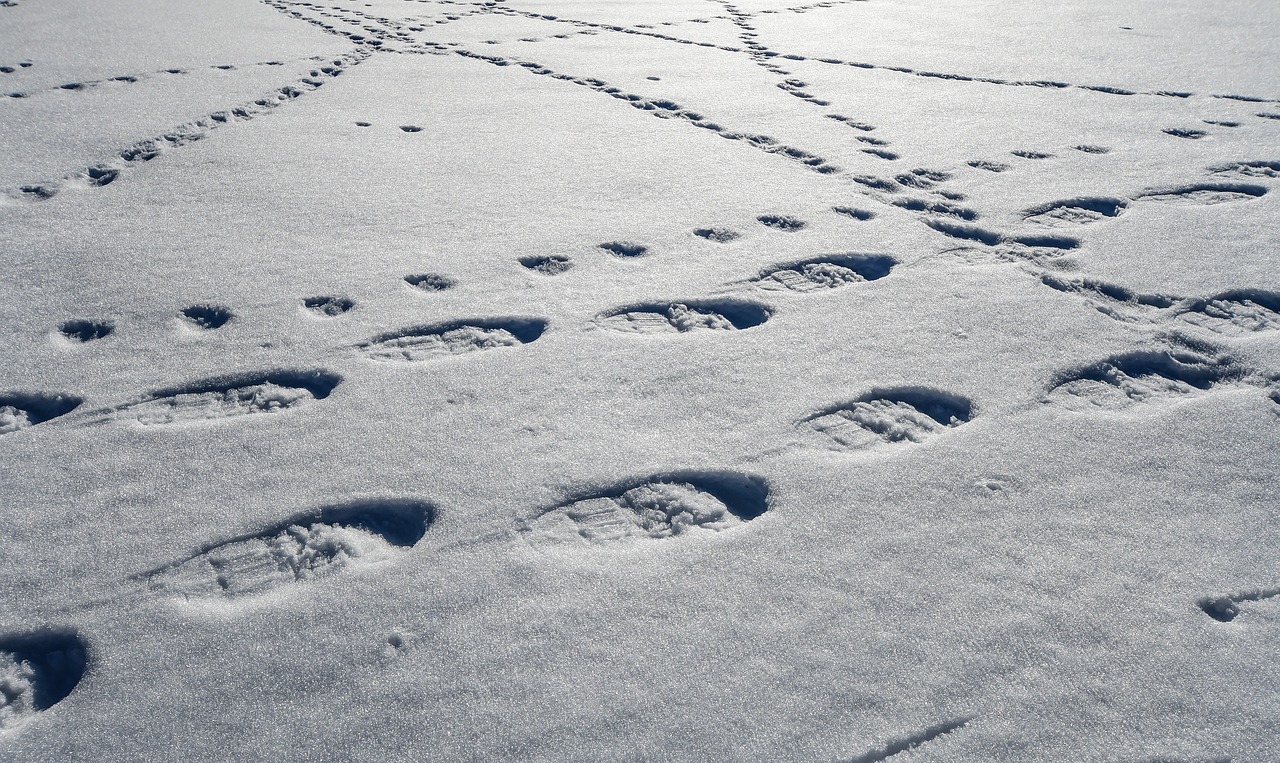 snow-4072526_1280