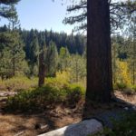 hiking