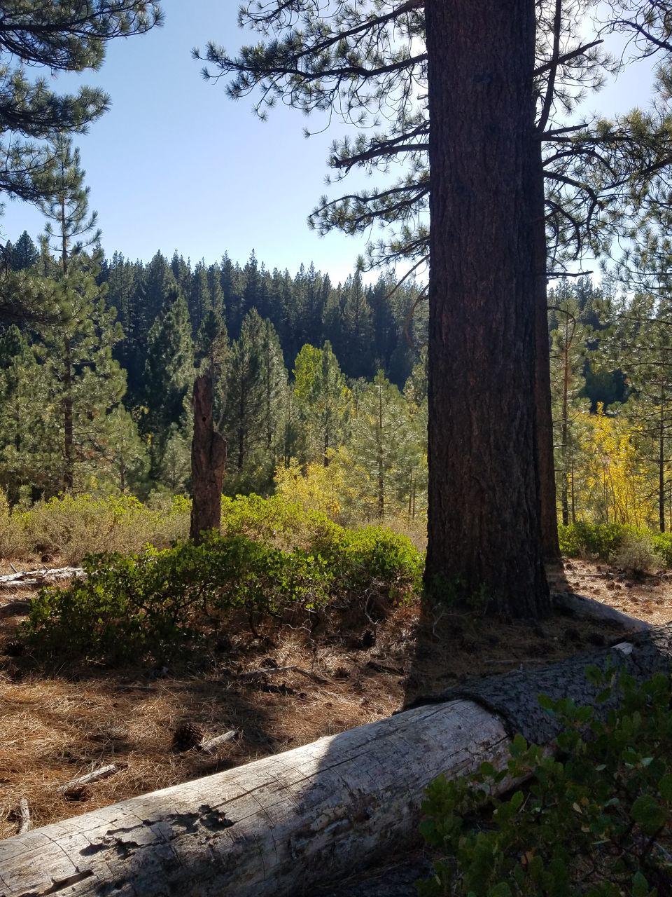 hiking